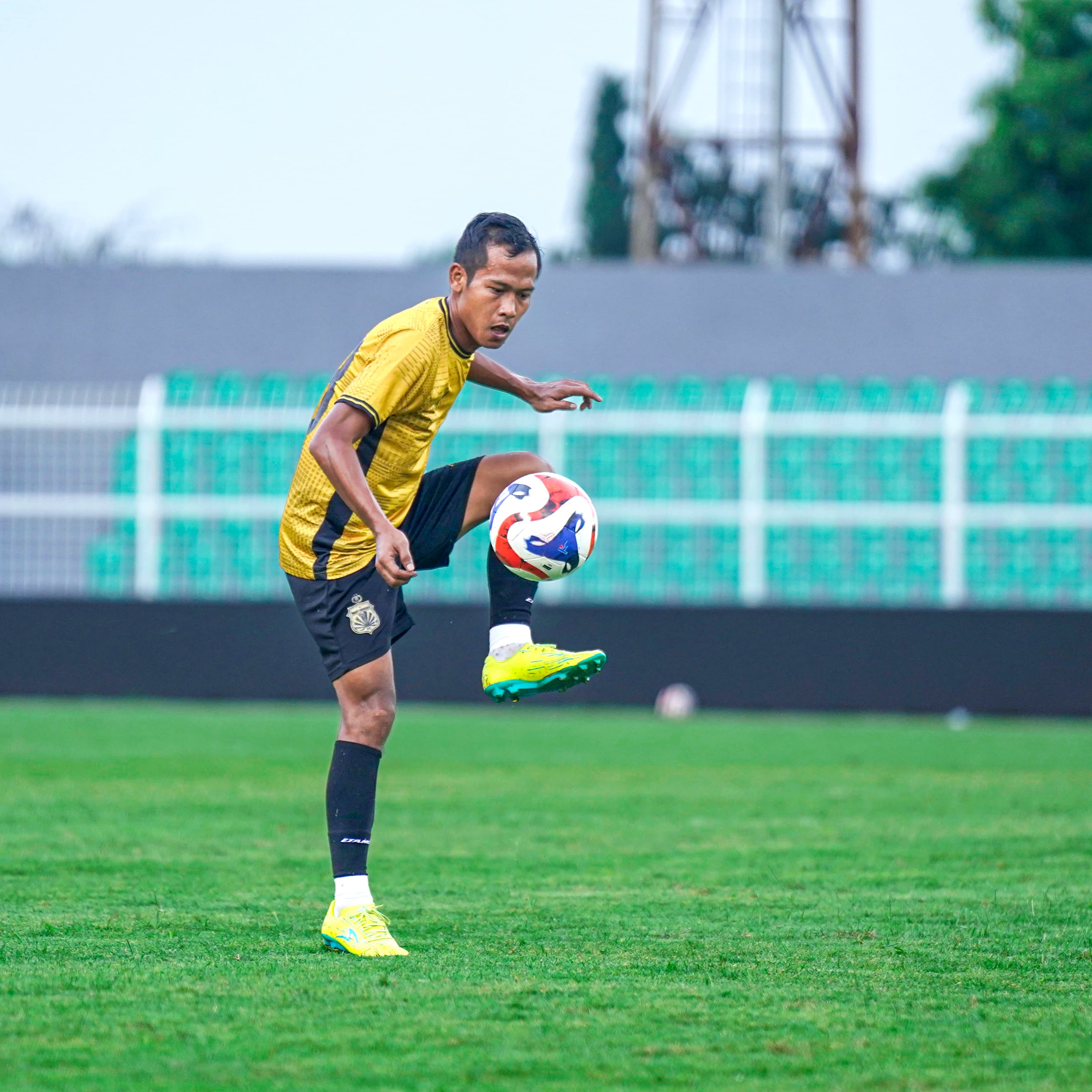 Stadium background 11